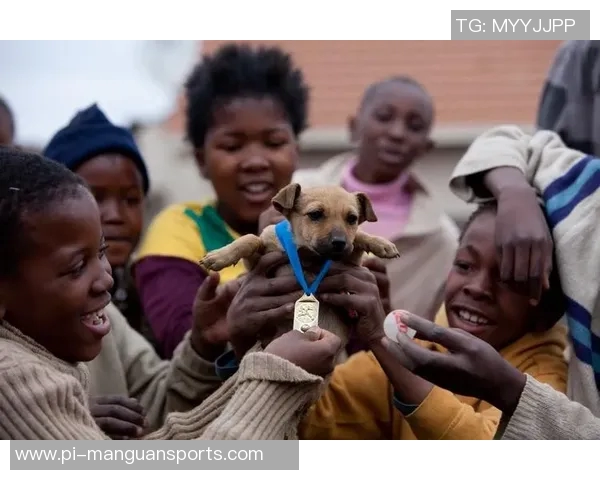 南非足球球星崛起之路：从街头足球到国际赛场的辉煌历程
